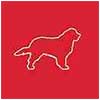 Dog-Logo-100px